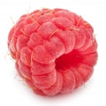 Raspberry Leaf