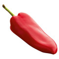 Red Chilli Pepper