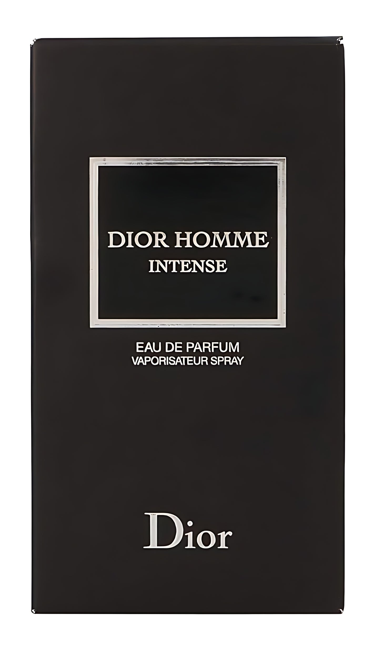 Dior Homme Intense 2011 Dior for men 100ml