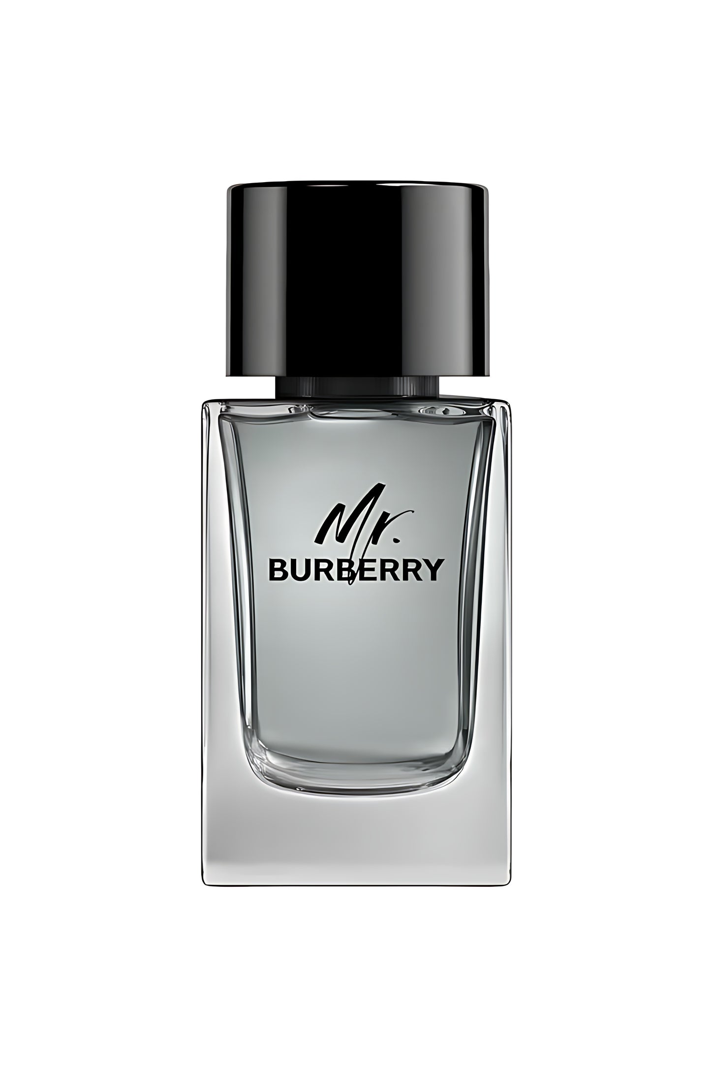Mr. Burberry Burberry for men 100ml