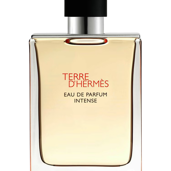 Terre d’Hermès Intense Hermès for men 100ml